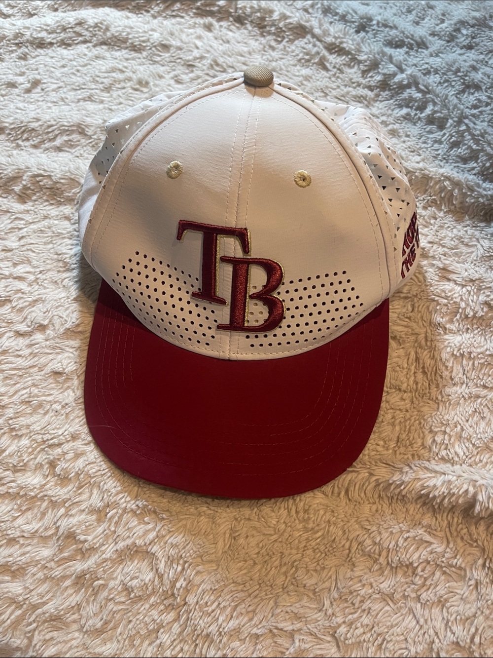 Melonwear Tampa Bay rays hat